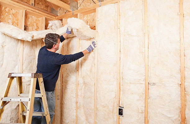 Best Spray Foam Insulation in Demopolis, AL